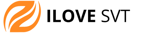 ilovesvt.com