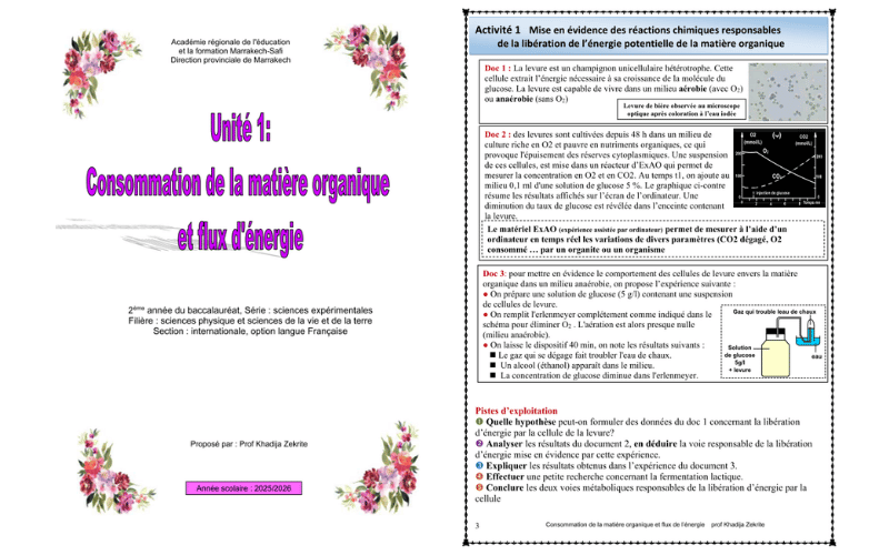 Libération de l’énergie Zerkite