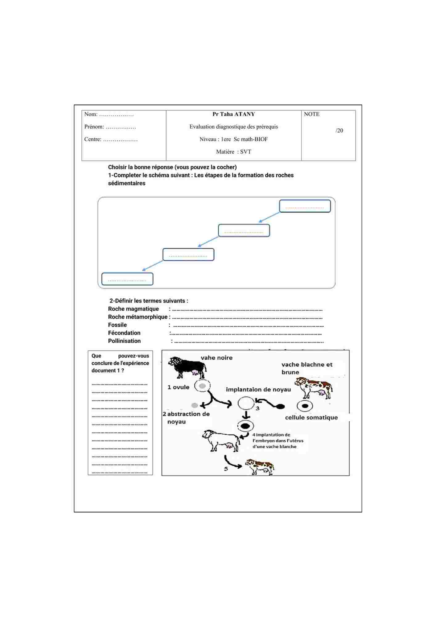 Aperçu du fichier PDF