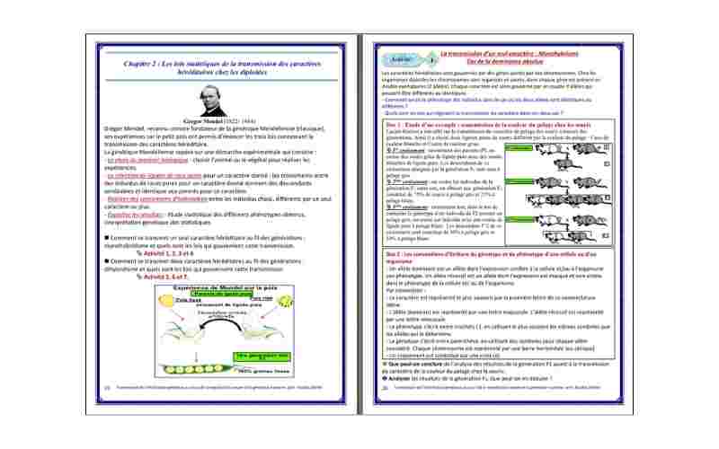 Lois statistiques de la transmission des caractères héréditaires