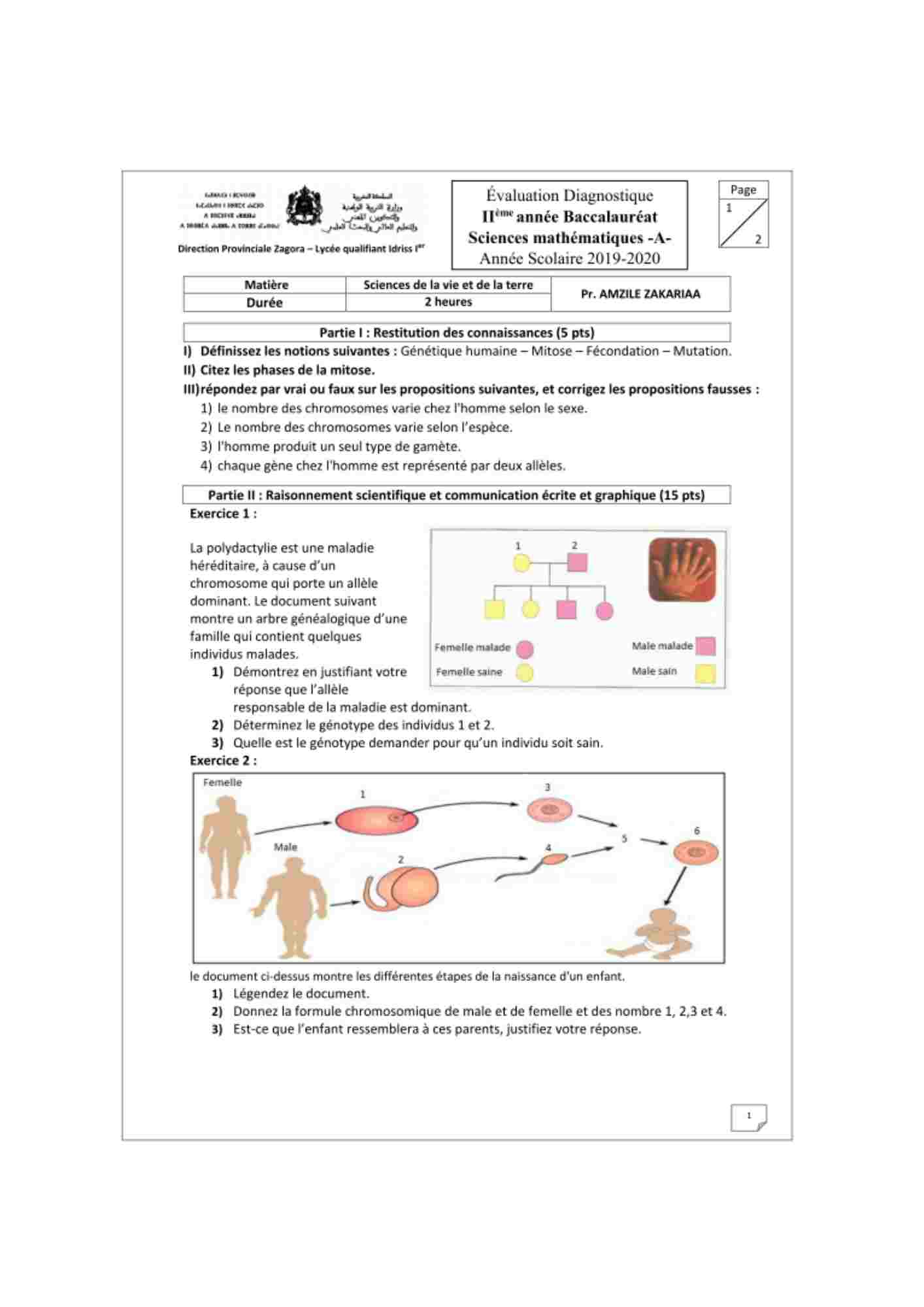 Aperçu du fichier PDF