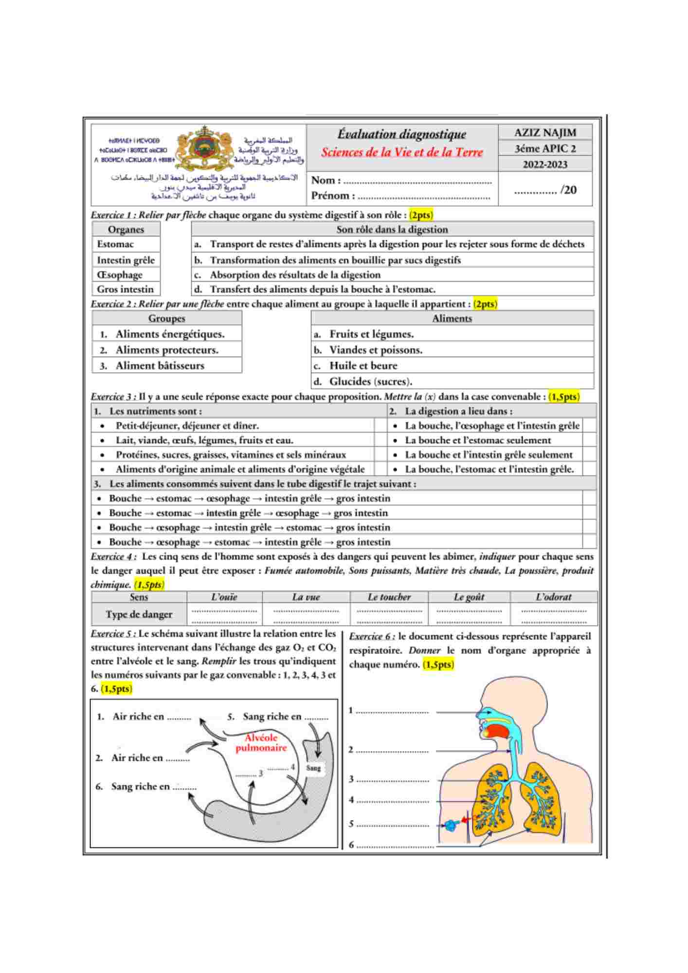 Test diagnostique SVT 02