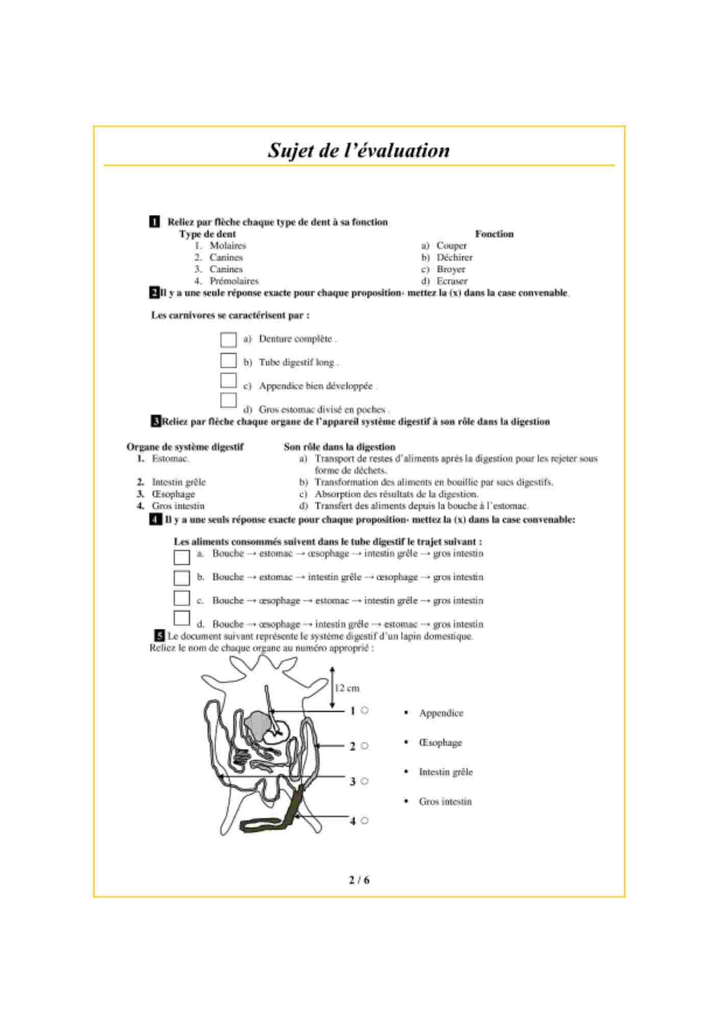 Test diagnostique SVT 06