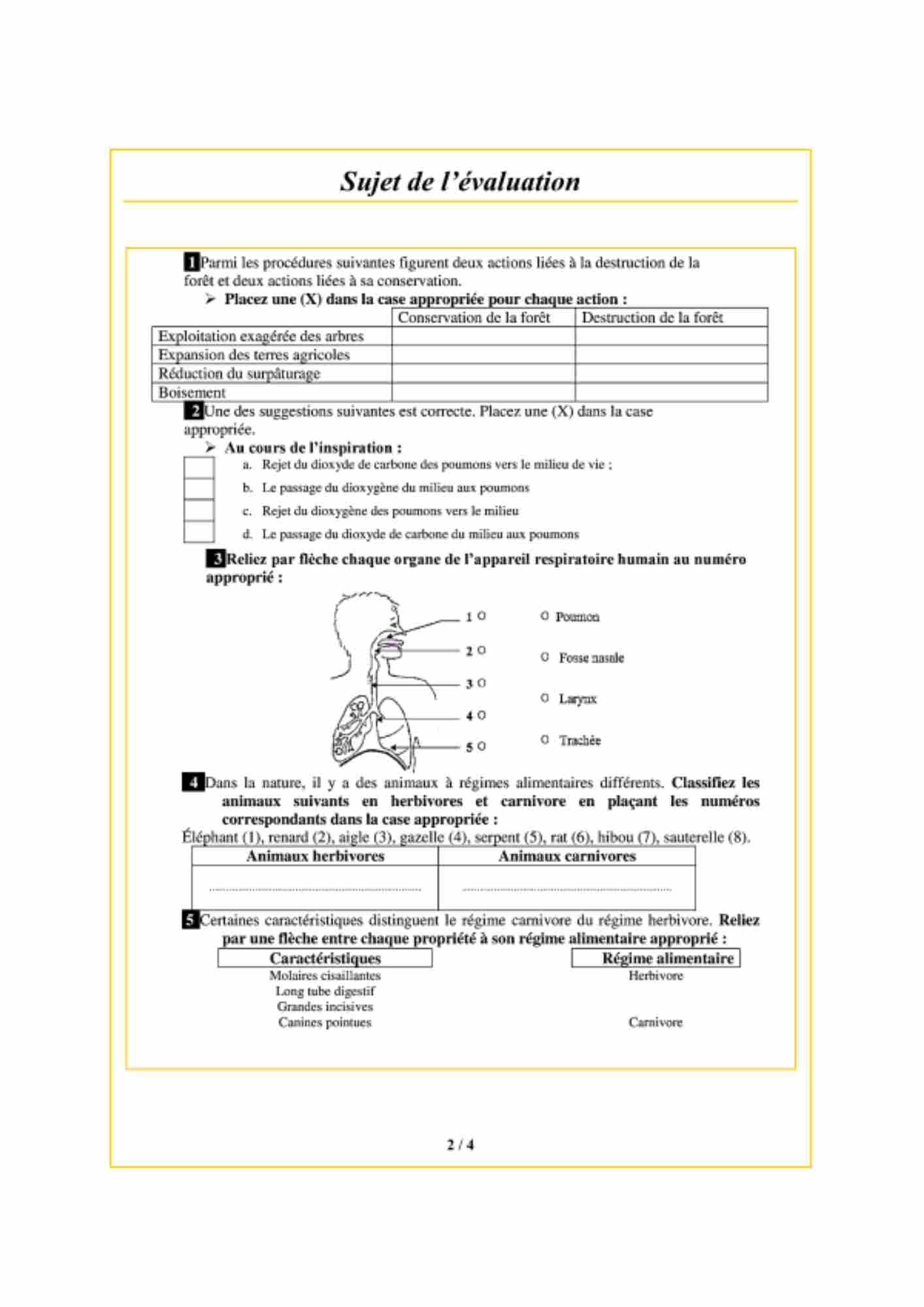 Aperçu du fichier PDF