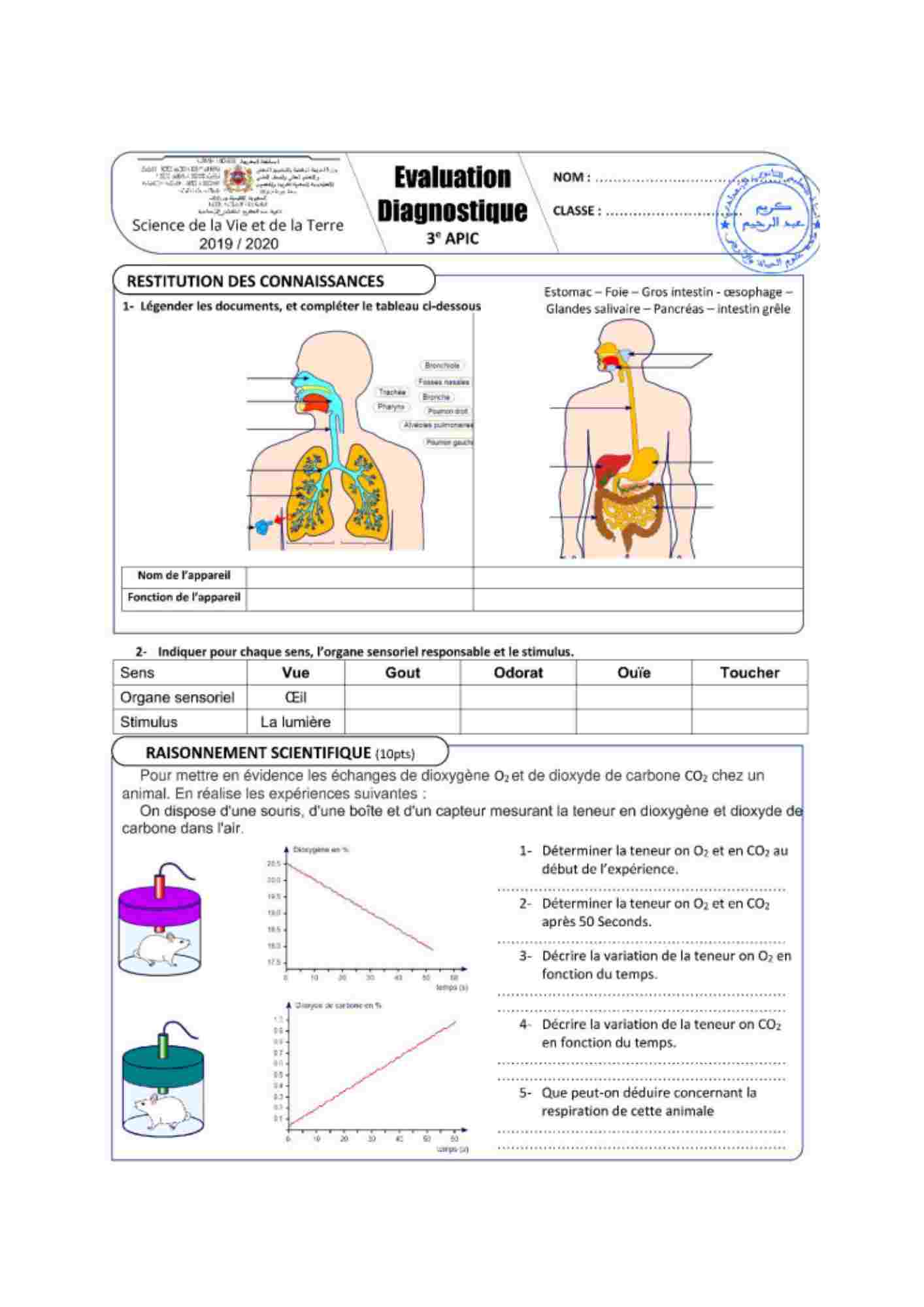 Test diagnostique SVT 08