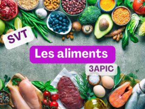 Les aliments 3ac (2).jpg