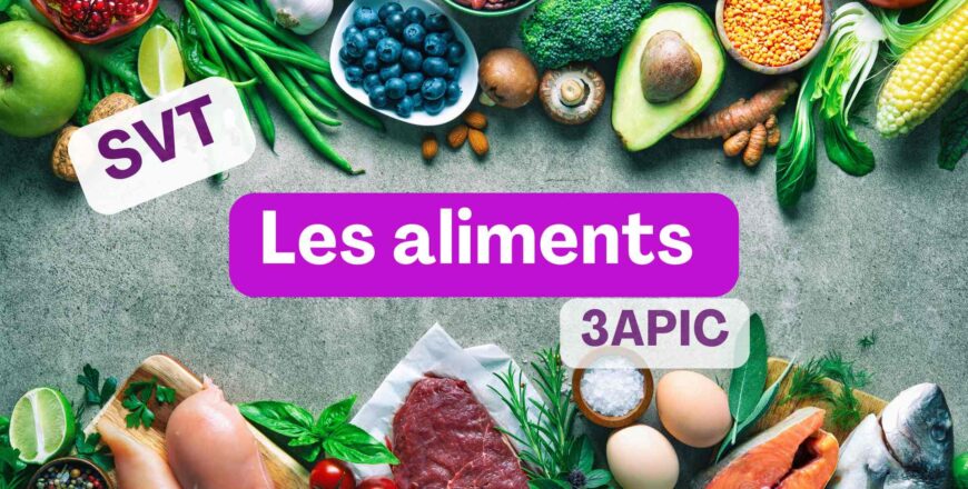 Les aliments 3ac (2).jpg