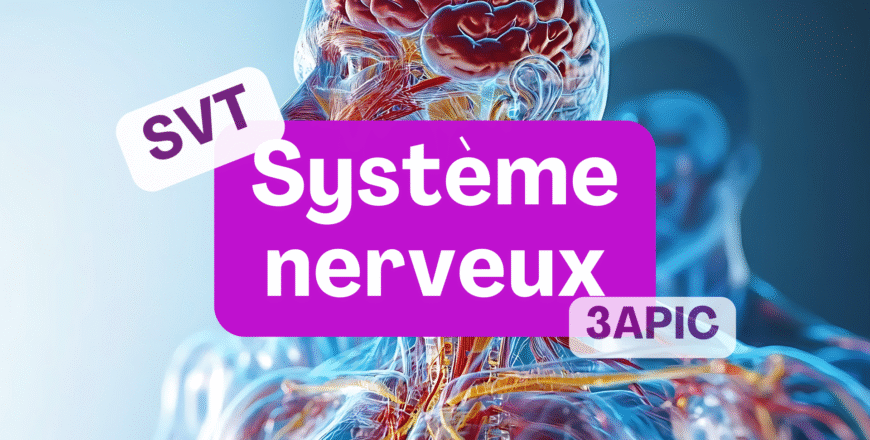 IloveSVT (1920 x 1280 px) (11).png