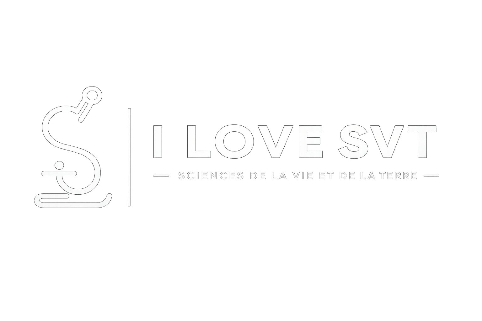 ilovesvt.com