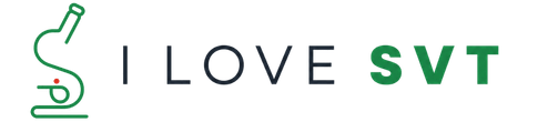 ilovesvt.com