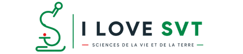 ilovesvt.com