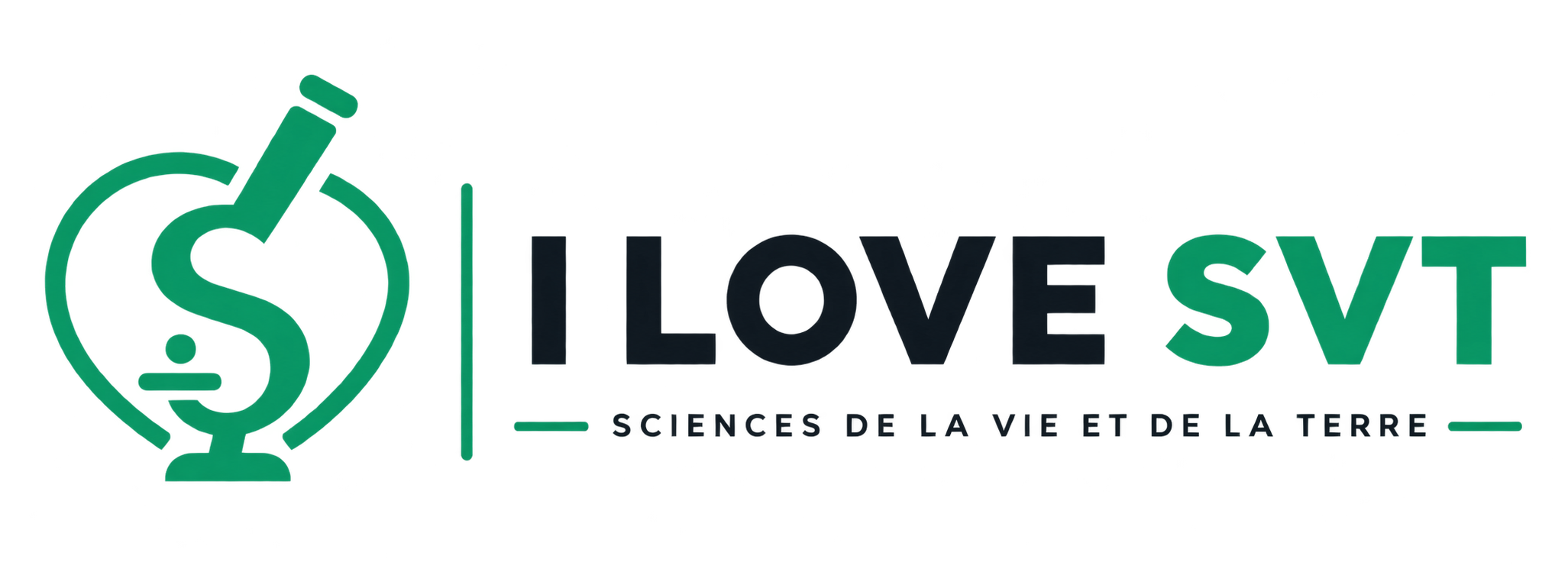 ilovesvt.com